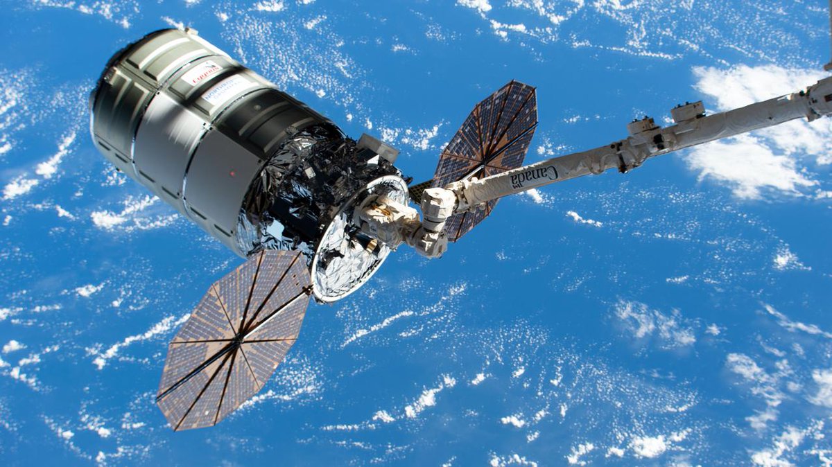 We’re launching neuron gene therapy, a flammability study, and other @ISS_research experiments aboard the next @NorthropGrumman cargo mission, set for Aug. 1. Join us on July 18 at 10am ET (1400 UTC) for details. go.nasa.gov/44JM2Hr