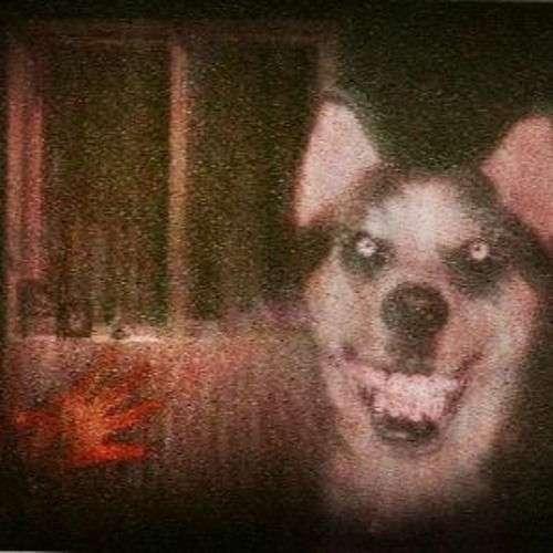 yiu's tweet photo. @CDawgVA https://t.co/oDIsPRWCVi