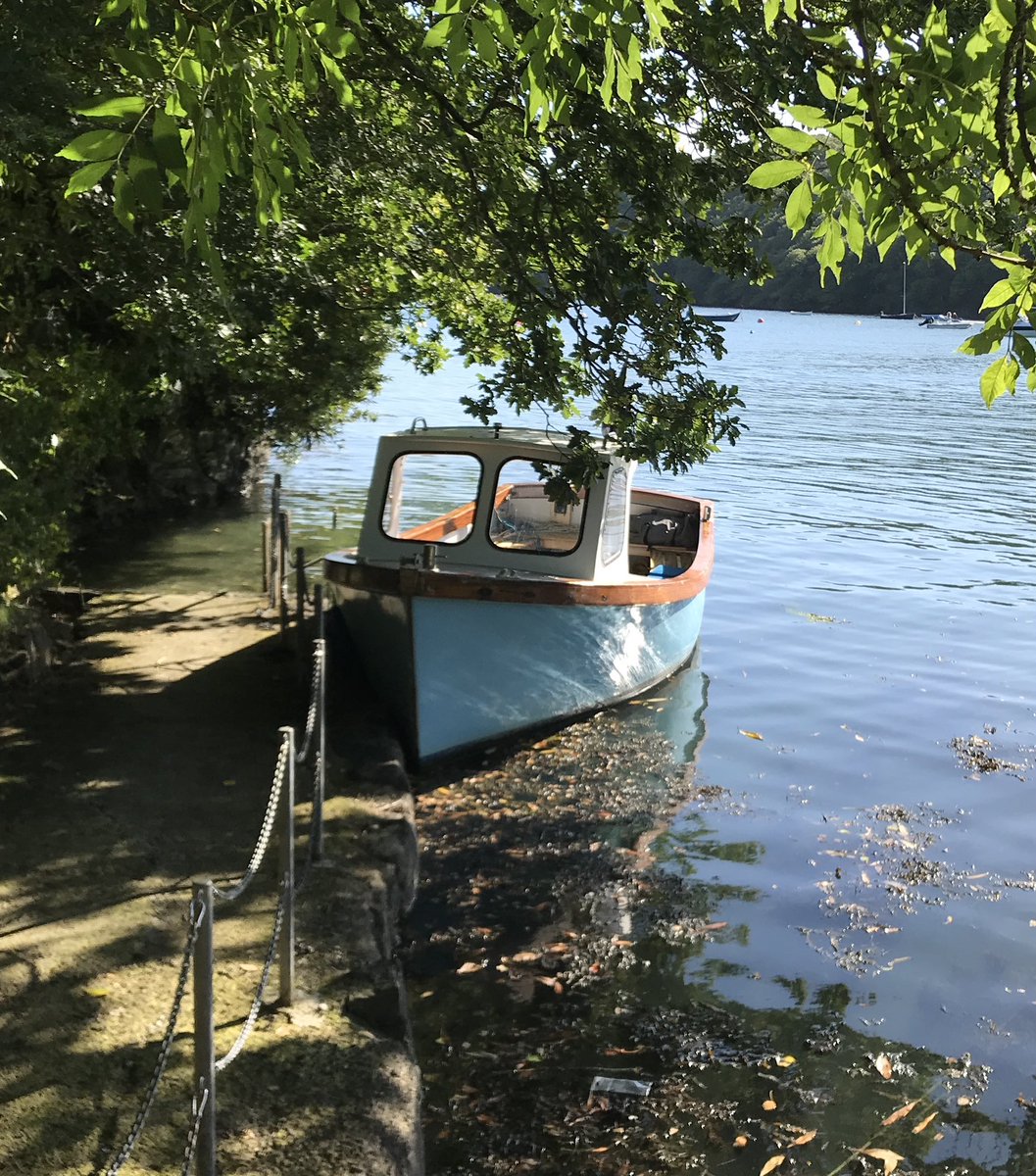 Koru Kayaking tweet media