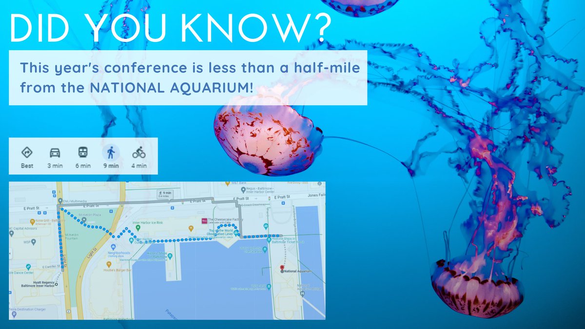 oralhistory's tweet image. You didn't know your #OHA2023 could have a sea life component? Well, surprise! The NATIONAL AQUARIUM is only a 0.4 mile walk along the beautiful inner harbor from the conference hotel. #baltimonday #getcharmed

linktr.ee/oralhist