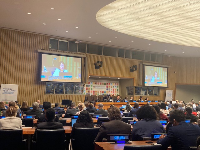 Great to hear from Rosie of the Millennials Movement on the crucial need to localise the #SDGs- #HLPF2023 Building youth engagement and dialogue for #2030Agenda