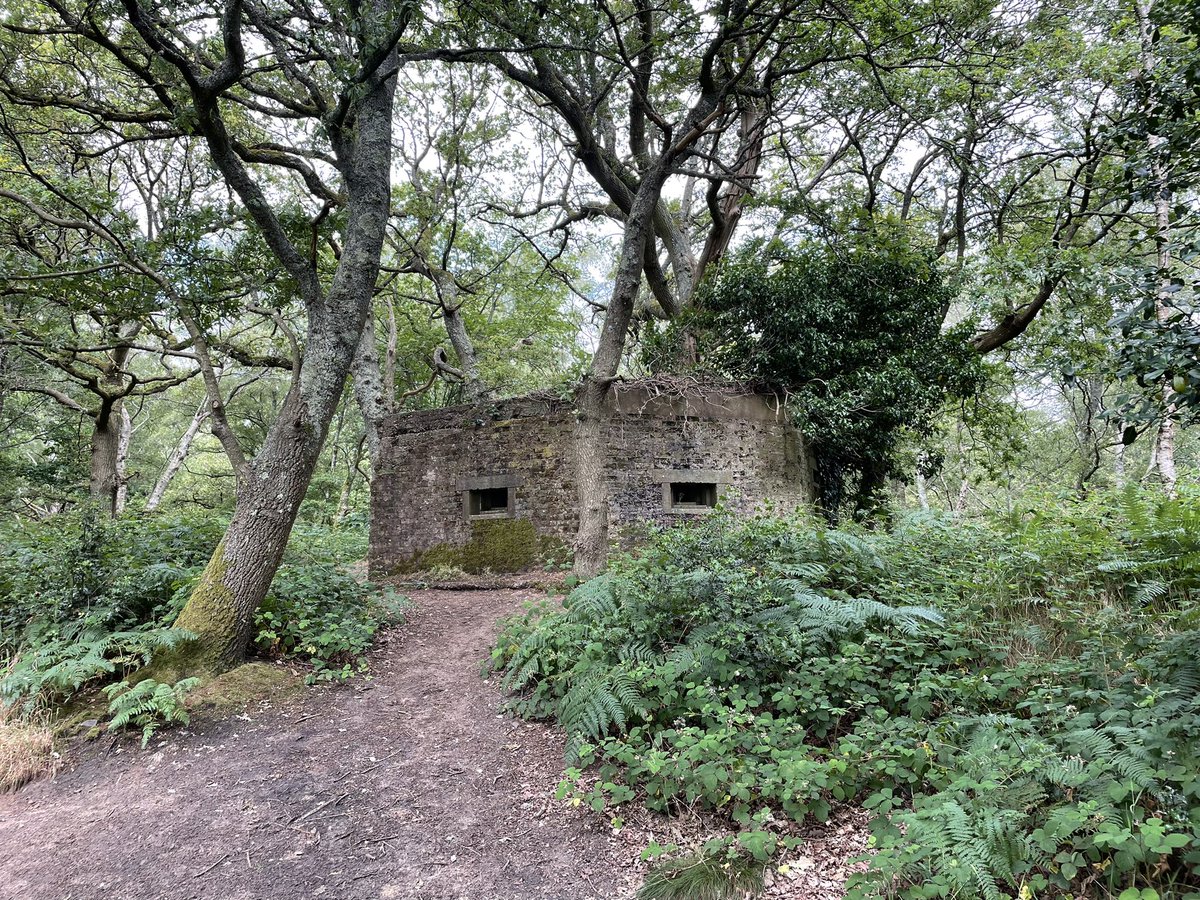 Nick Hewitt ⚓️🇺🇦🇹🇼 tweet media