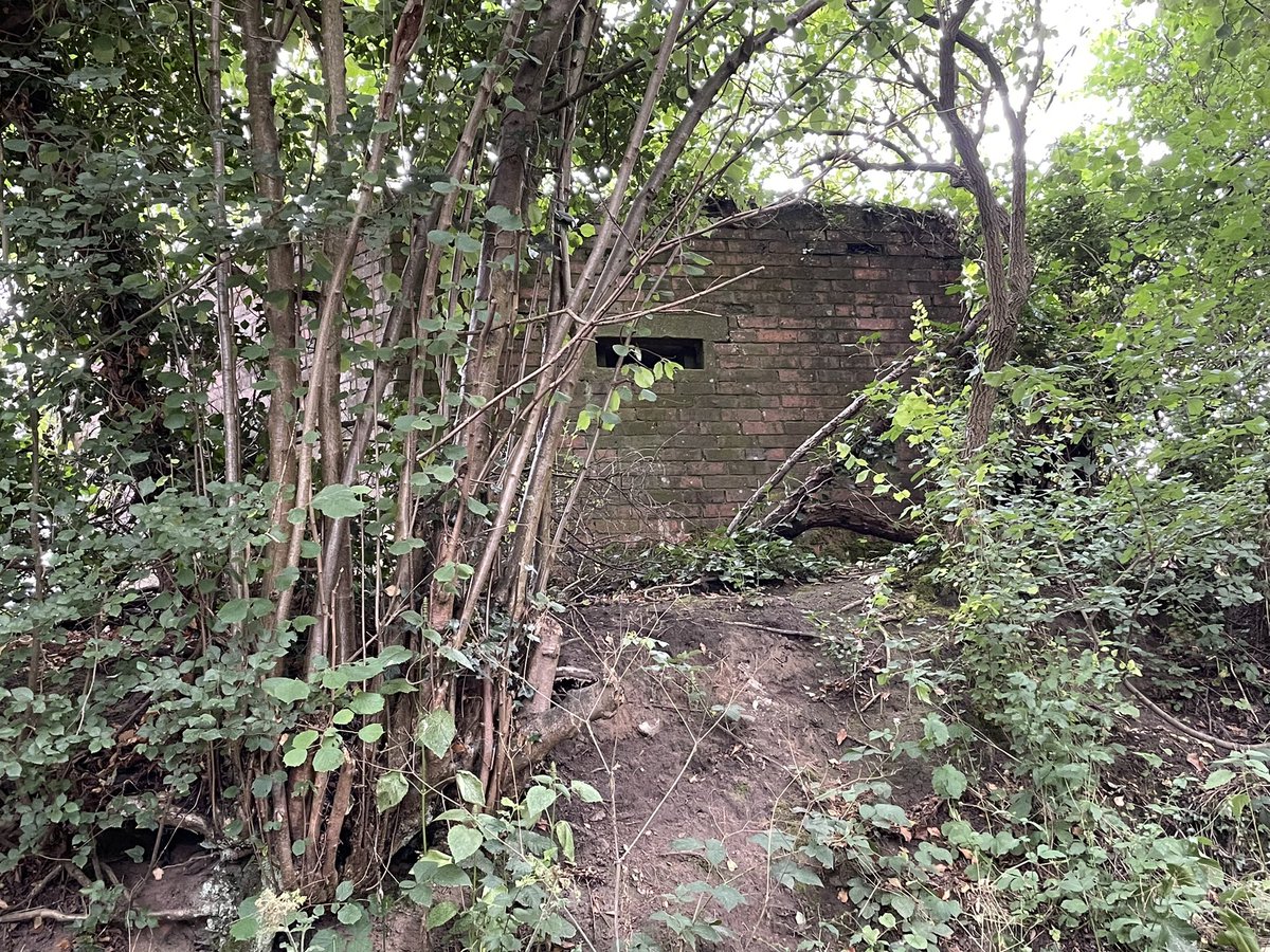 Nick Hewitt ⚓️🇺🇦🇹🇼 tweet media