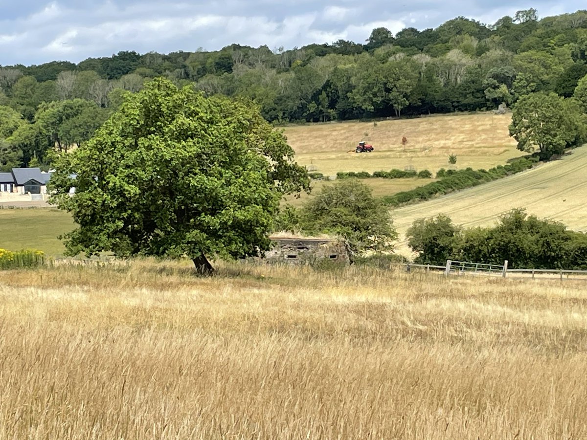 Nick Hewitt ⚓️🇺🇦🇹🇼 tweet media