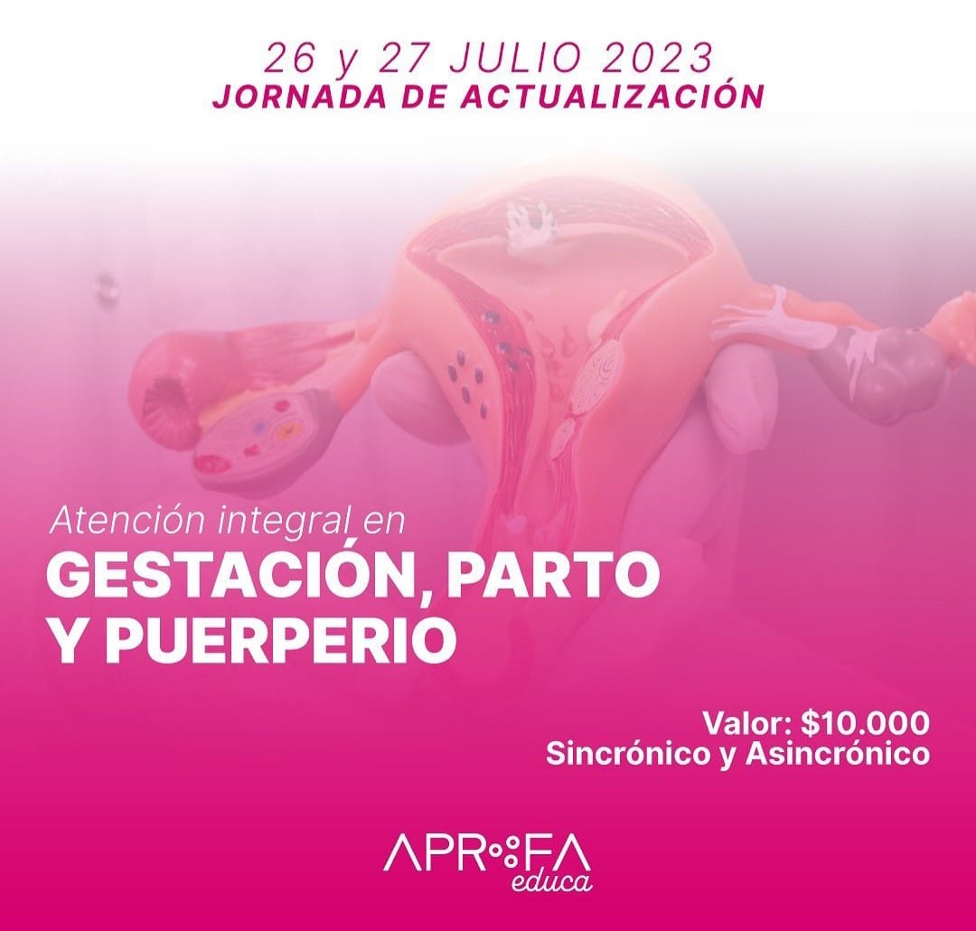 APROFAChile's tweet photo. 🗓️ ¡Nuevo curso disponible en #APROFAEDUCA!

Inscríbete y participa en el curso “Atención Integral en Gestación, Parto y Puerperio”

👉 https://t.co/izWHVueIUZ

#capacitacion #aprofaeduca #aprofa #curso #sexualidad #parto #gestacion #embarazo #puerperio https://t.co/BYxhNr9pQX