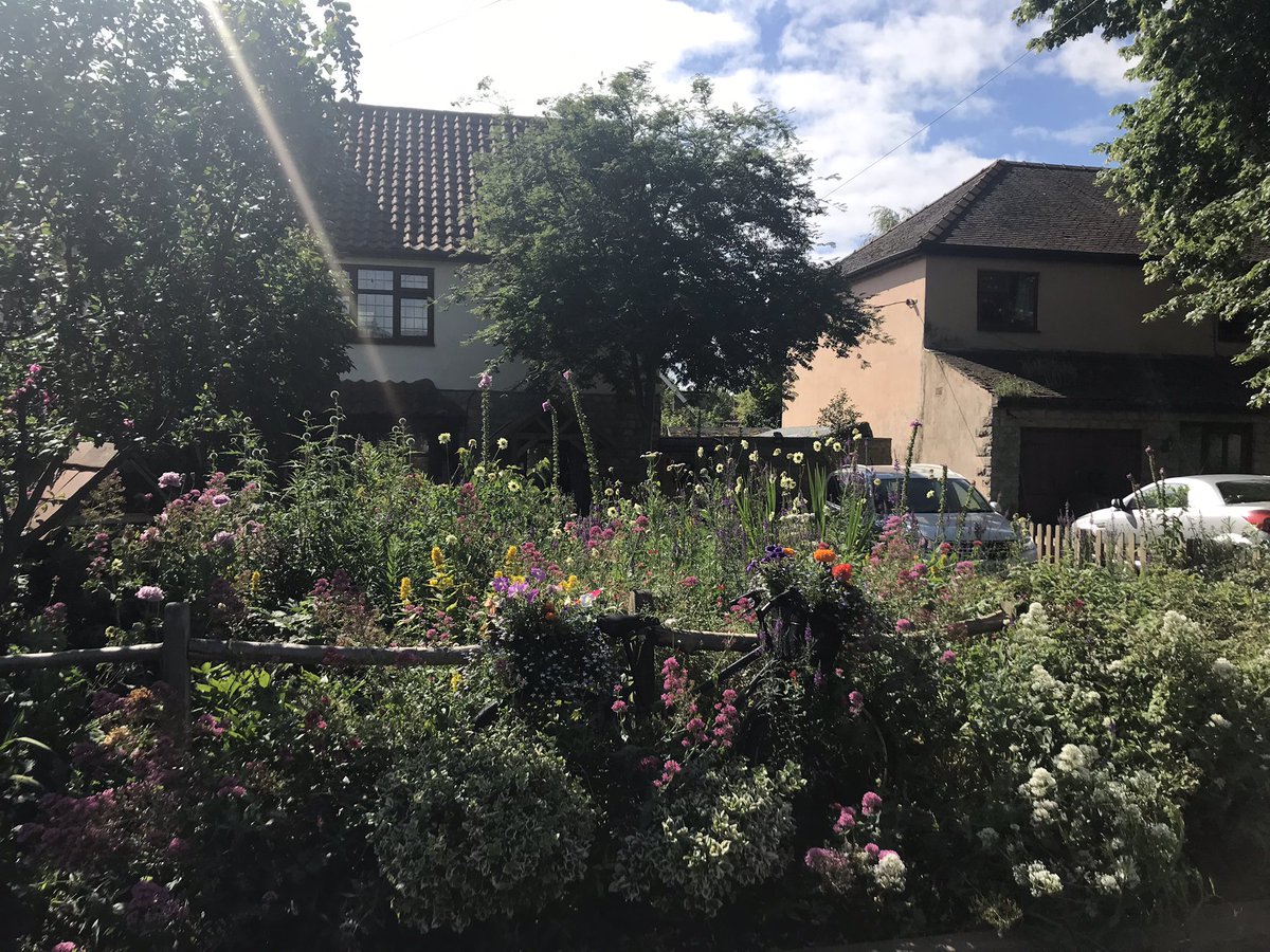 FirbeckPC's tweet photo. Firbeck gardens in full summer bloom #communitypride https://t.co/kxpugrunom