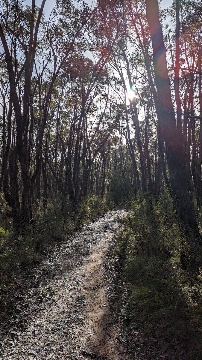 Adam French tweet media