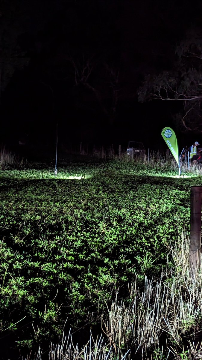 Adam French tweet media