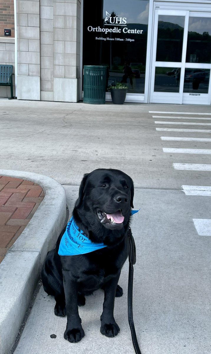 James rocked his first therapy dog visit to UHS Orthopedics/Physical Therapy today 🐾❤️<a href="/PFFTampa/">Paws For Friendship</a>