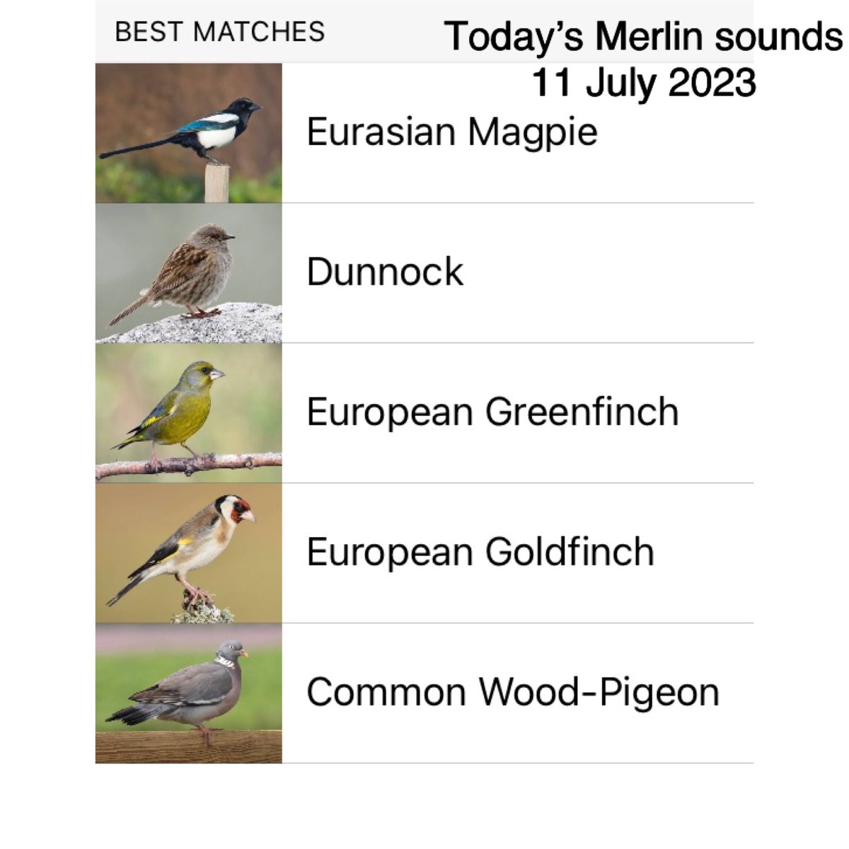 Gill Bracey tweet media