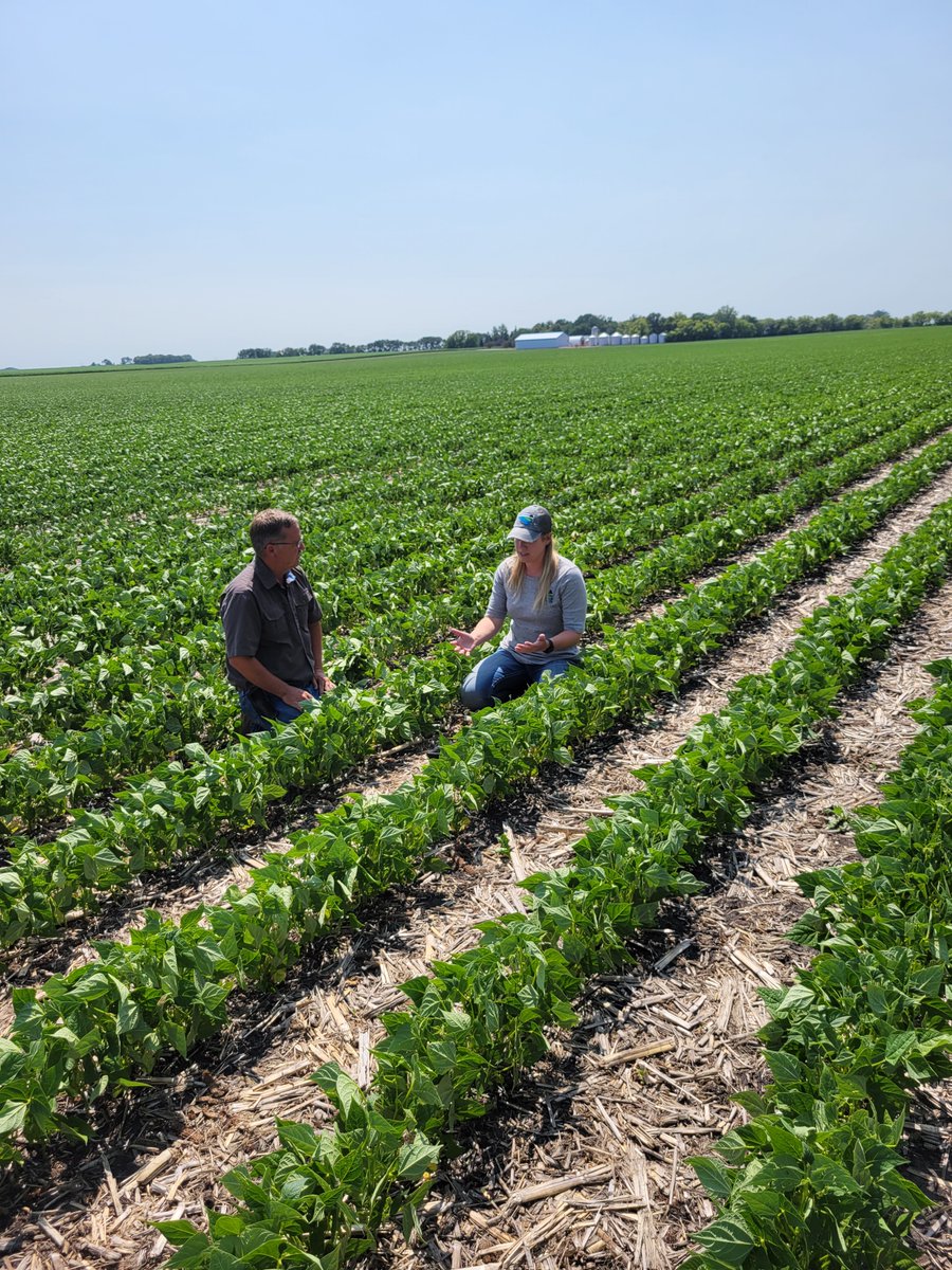 Renville_SWCD's tweet photo. Great to meet with Dorian Gatchell in preparation of our upcoming field day @MNAgServices  Don't forget to RSVP by August 4th!

#SoilHealth #soilandwater #soilandwaterconservation #farm #farming #farmer #plantinggreen #cashcrop https://t.co/81D2KS2Mh0