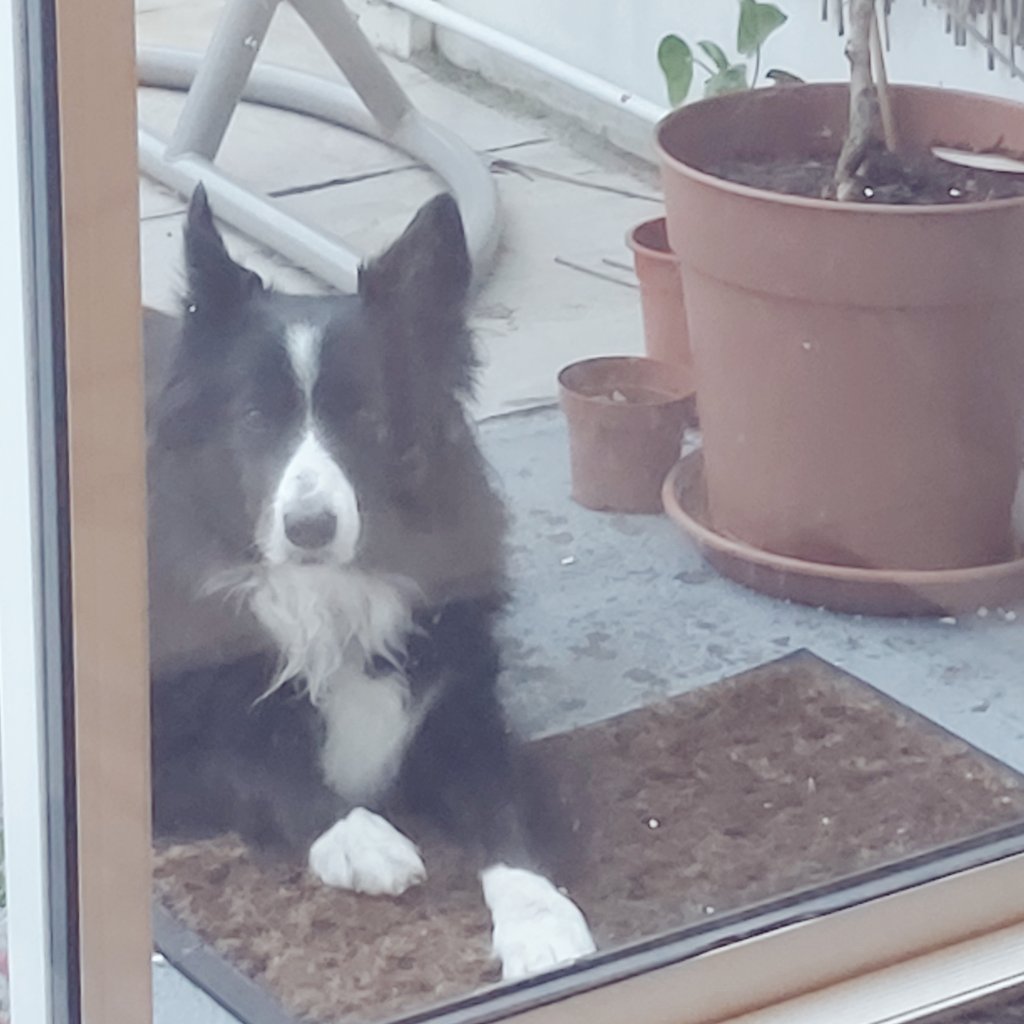 🌻|| paulina ||🌻 tweet media