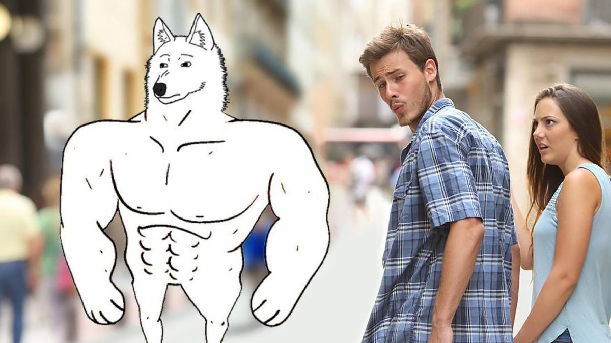 Daaaaaaam $DOGJAK how you get so jacked?