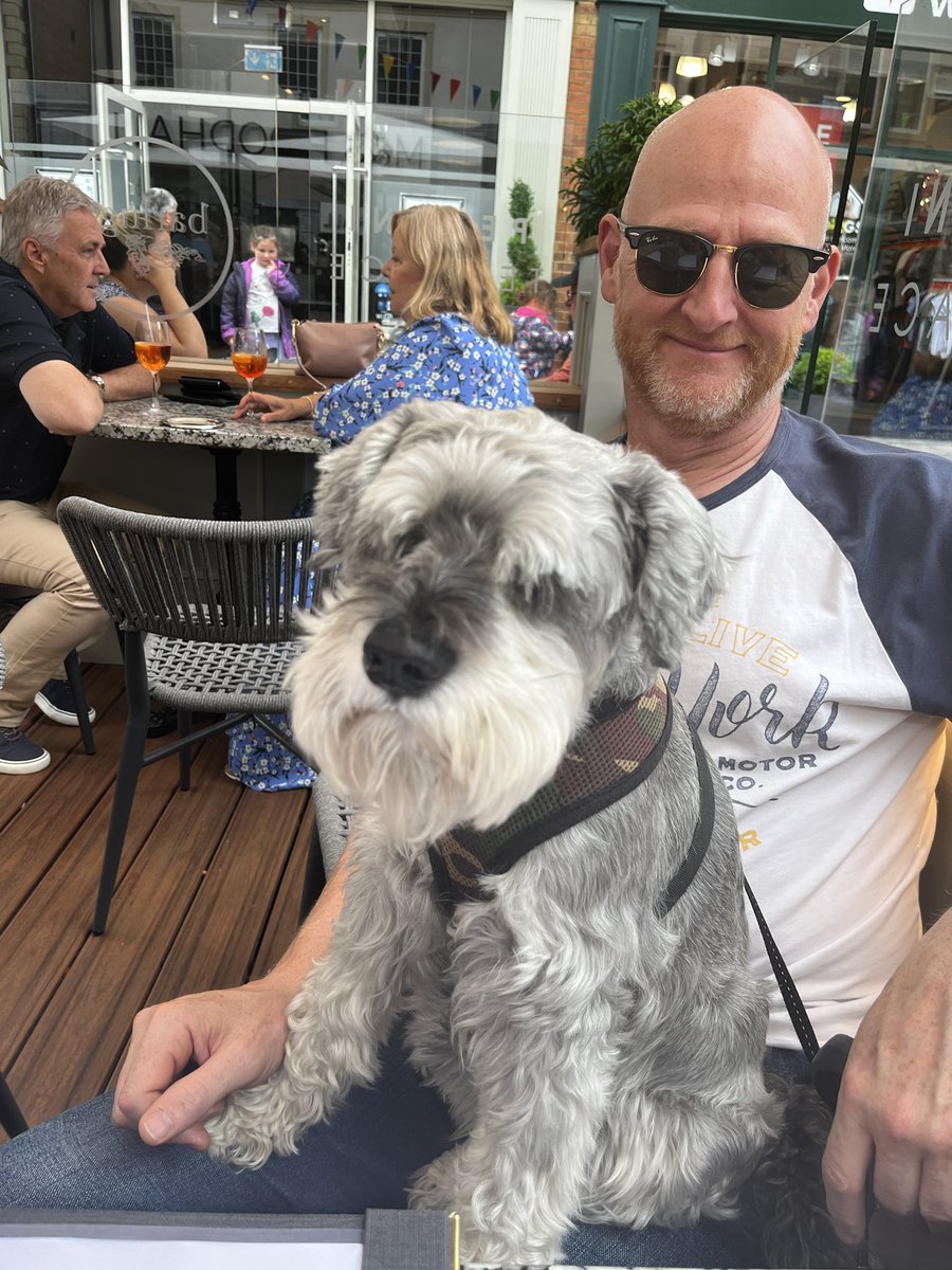 We gained this little fella into the Baxter household, nearly 10 yrs old, what a trooper.  We drove 328 miles round trip, all very strange for him but I think he’s settled…welcome Paddy 💙