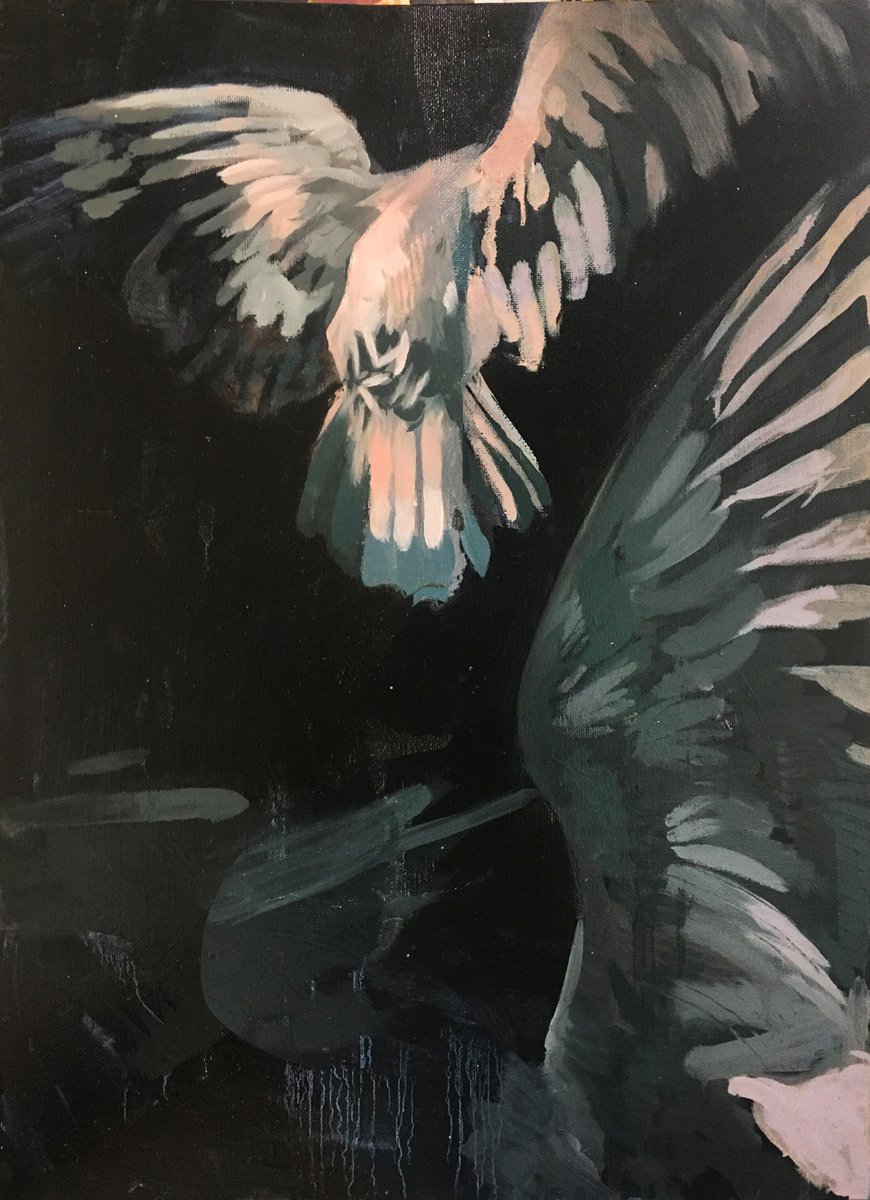 i'm going through some of my college art for an upcoming video, and i kinda forgot how absolutely pigeon-pilled i was (other small birds were likewise illustrated)