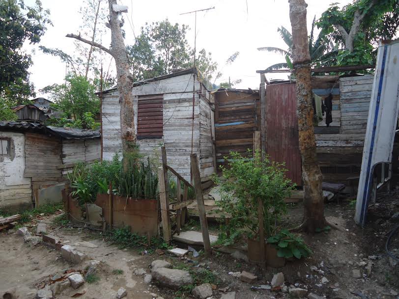 Lunita 🇨🇺 𝕏 tweet media