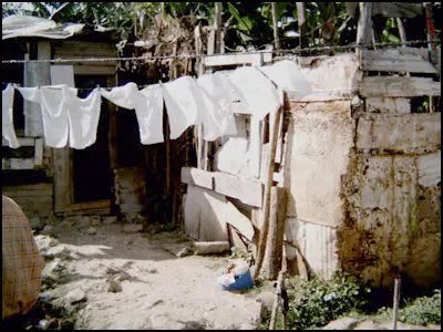 Lunita 🇨🇺 𝕏 tweet media