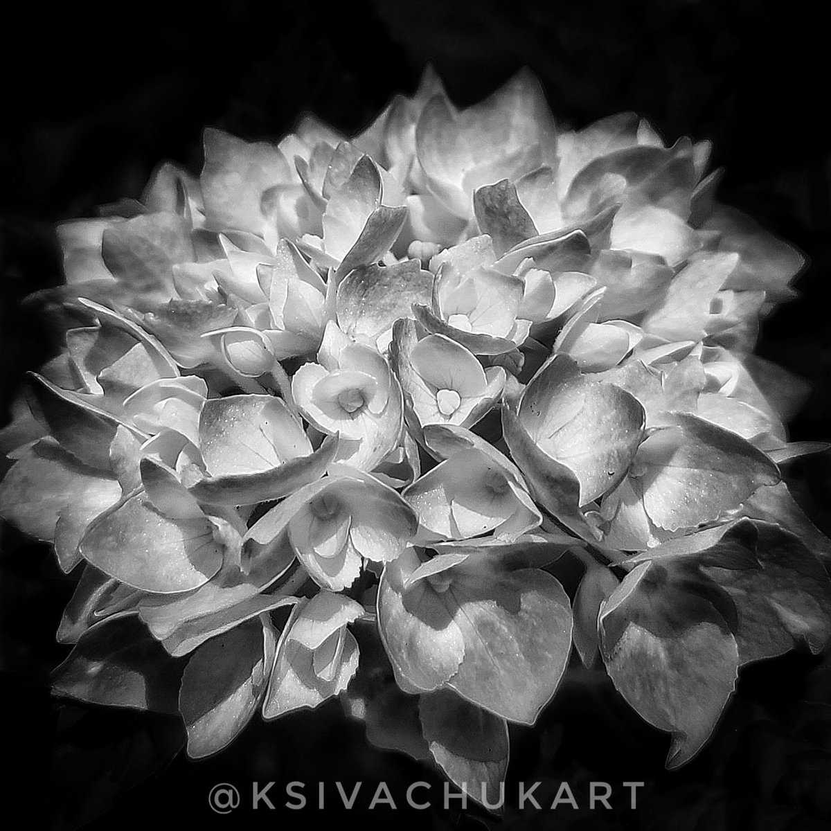 Karina 📸 tweet media