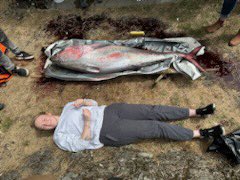 Adam P. Summers tweet media