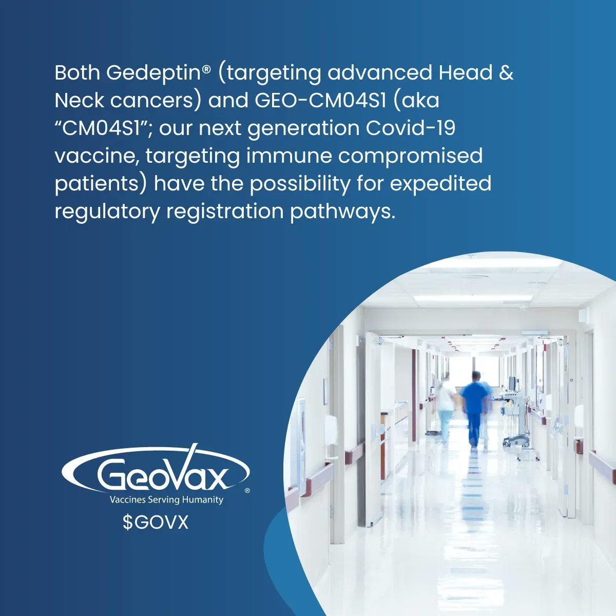 InvstmtCupboard's tweet photo. .#immunooncology #cancer #headandneckcancer #aacrAHNS23 $GOVX https://t.co/s1kmhvzVp9