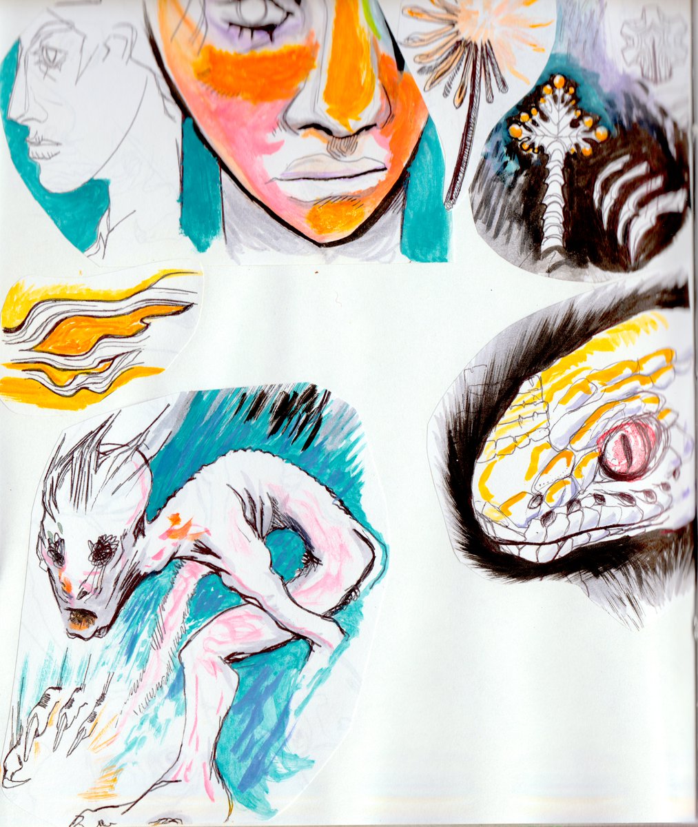 G Autumn Visgale tweet media