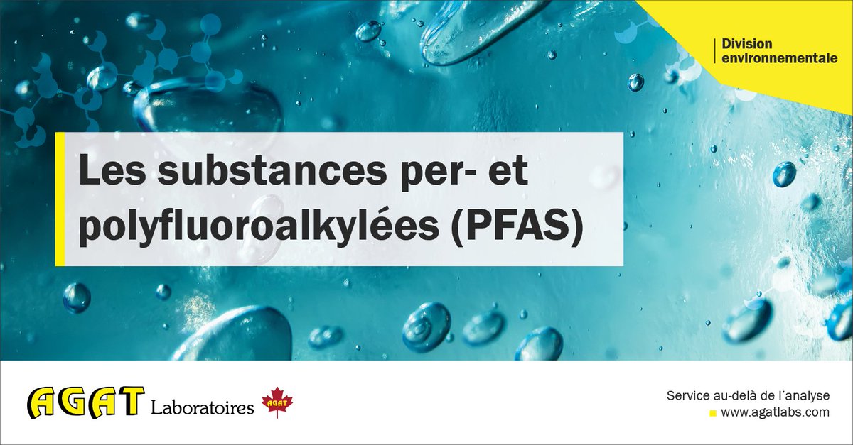 AGATLabs's tweet image. AGAT Laboratories a élargi ses services de test PFAS afin que vous puissiez protéger votre santé et celle des autres. Contactez info@agatlabs.com pour plus d&apos;informations sur nos capacités de test PFAS.

#pfas #produitschimiquescancérigènes #pfastesting