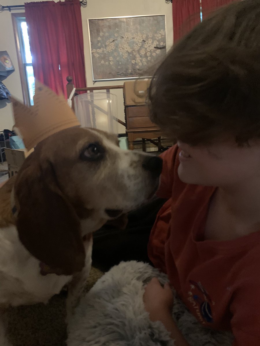 themeekmoose's tweet image. Our new rescue, Sully, enjoyed getting his first @barkbox today! His fave was the beef chew from The Pet Gourmet. We loved the paper crown!