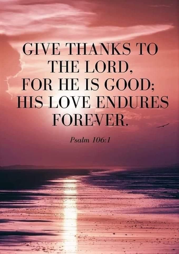 Lissette tweet media