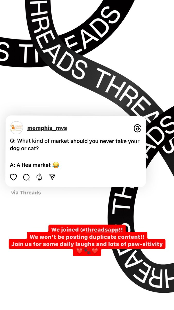 Memphis_MVS's tweet photo. Are we even allowed to say this on here?!?! https://t.co/yTGMKkIkq2