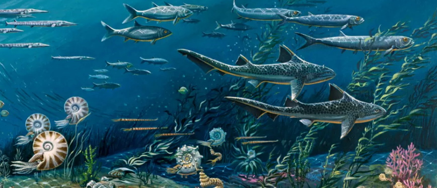 EarthByte (@earthbytegroup) on Twitter photo A 36 my pulsing of the Earth is found in plate tectonics, sea level & marine biodiversity – PNAS paper by Slah Boulila, @shananpeters, <a href="/MullerDietmar/">Dietmar Müller</a>, Bil Haq & Nathan Hara tinyurl.com/bdz9bbhc, stories in Newsweek tinyurl.com/2fdtuxus & LiveScience tinyurl.com/mrs3cbs8 A 36 my pulsing of the Earth is found in plate tectonics, sea level & marine biodiversity – PNAS paper by Slah Boulila, @shananpeters, <a href="/MullerDietmar/">Dietmar Müller</a>, Bil Haq & Nathan Hara tinyurl.com/bdz9bbhc, stories in Newsweek tinyurl.com/2fdtuxus & LiveScience tinyurl.com/mrs3cbs8