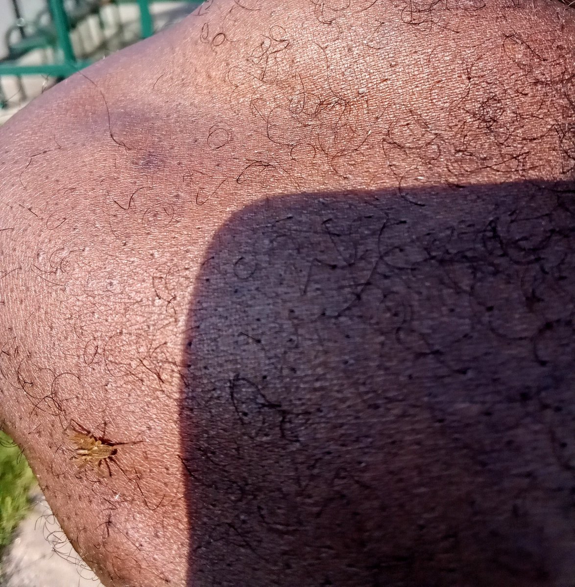 VentzWelL's tweet image. #PeepGame: 
"'#Uhmm!—
Yah' know I'm scared of "#spiders", #right?!

Straight up was just having a #WokeNightmare, like in #theTimesOfOld but less literally😈ON MY A**, for real_😳😅
Otherwise I might be explaining how I met #venom.

*‘Would but I seen the #spiderverse trailers*🤨