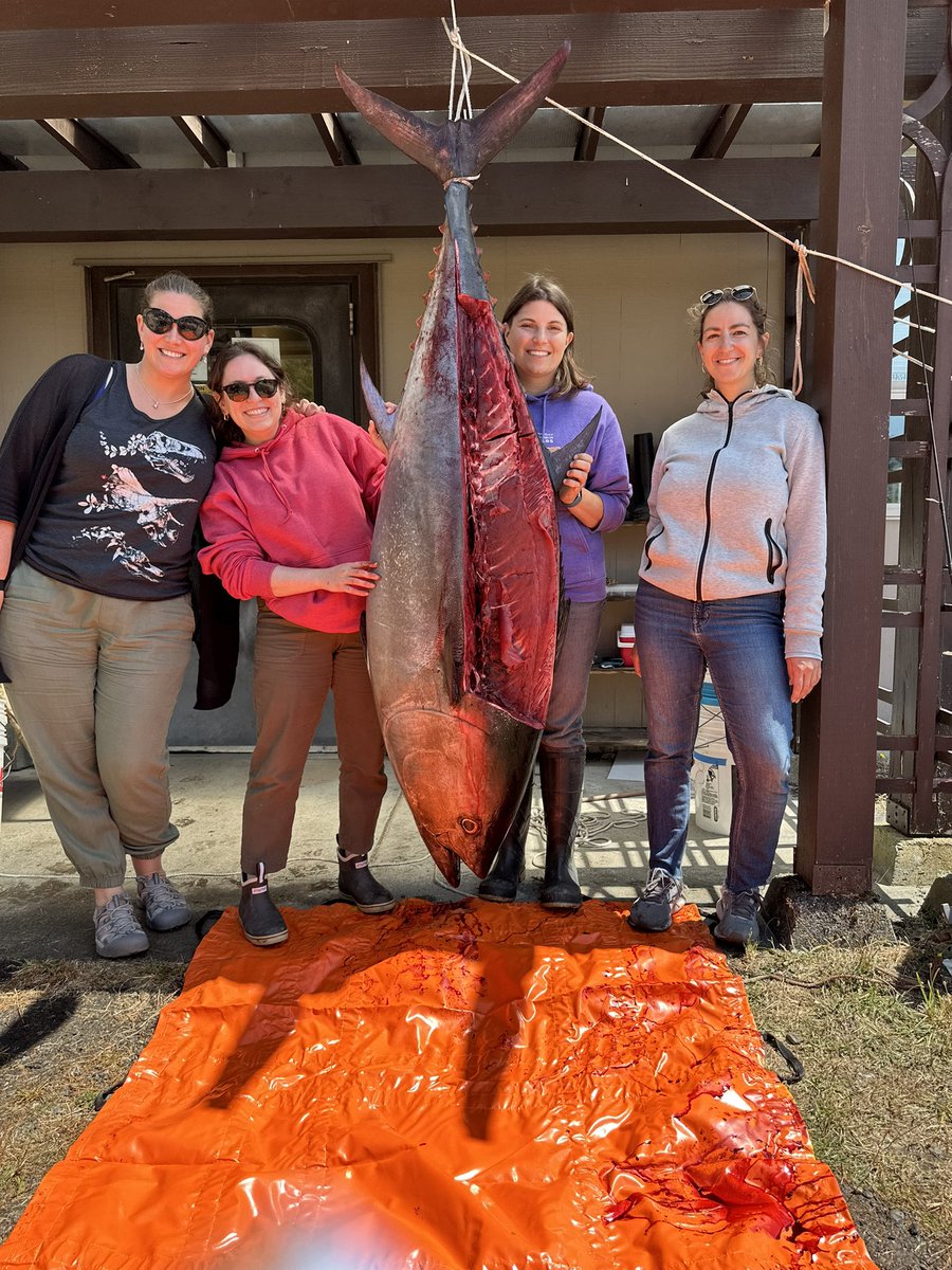 Dr. Karly E. Cohen tweet media