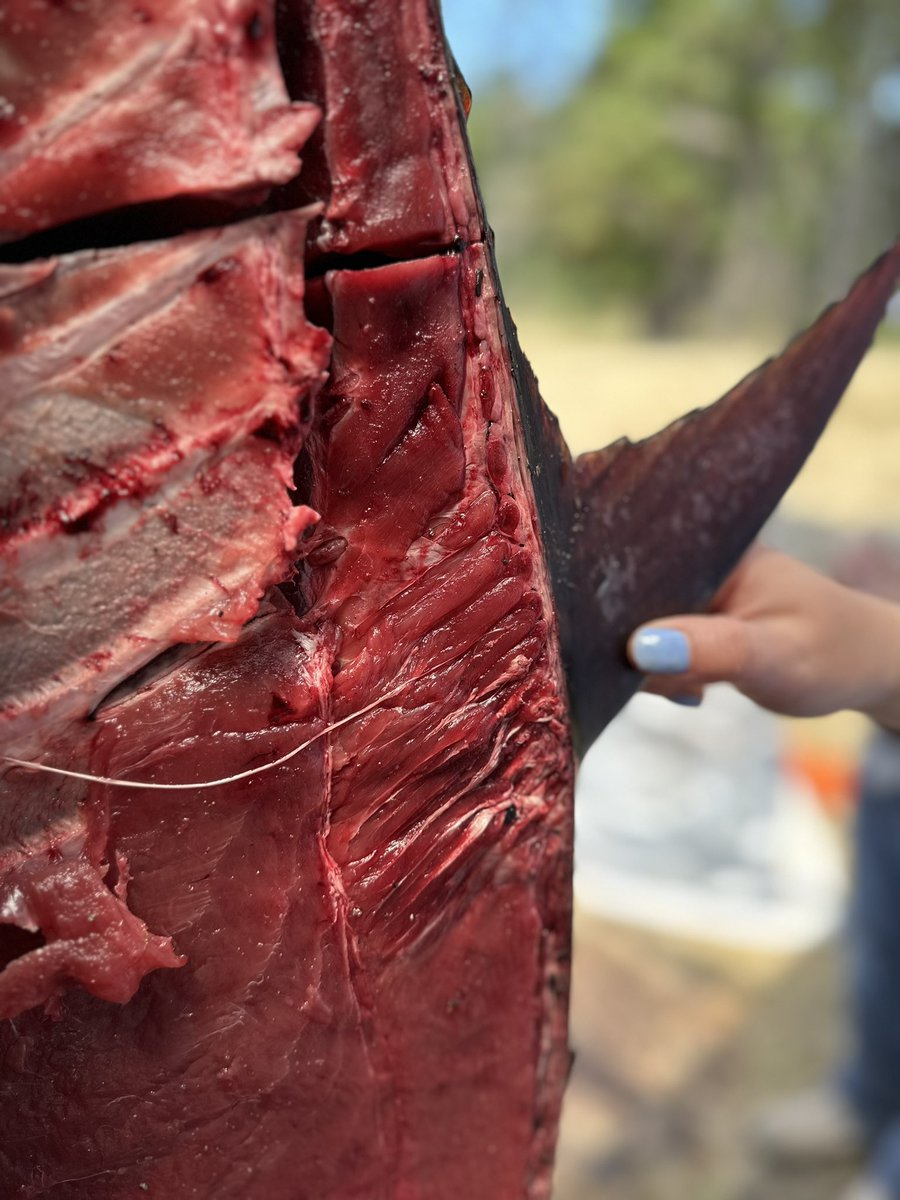 Dr. Karly E. Cohen tweet media