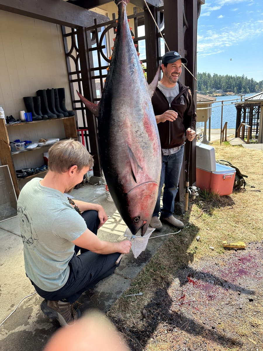 Daniel Geldof tweet media