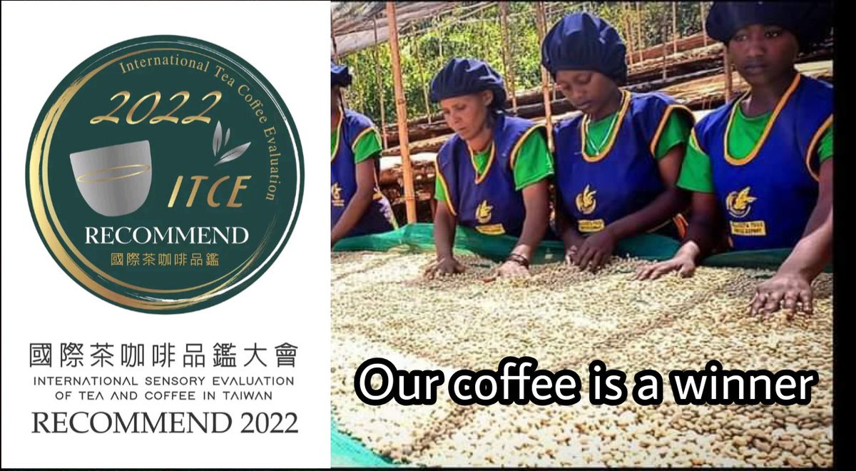 Congratulations to our coffee lovers
ITCE International sensory evaluation of tea and coffee
In the coffee tasting, our Ethiopian Yirgacheffe coffee won and was recognizedThey made us get this recognition thank you to ITCE and coffee and 
the @gkcoffee_gary