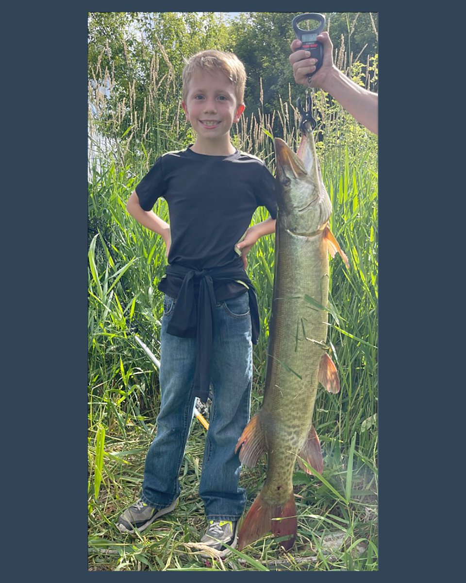 iowadnr's tweet photo. Iowa life goal:
catch a fish practically as big as yourself
angler: Jacob
fish: 45.5-inch #IowaMasterAngler muskie
spot: Milford Creek https://t.co/phsUsip4Gy