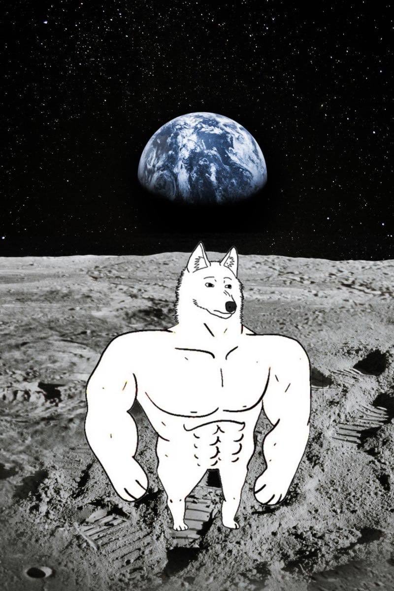 $DOGJAK in training for the moon landing! Dont fade this #INU