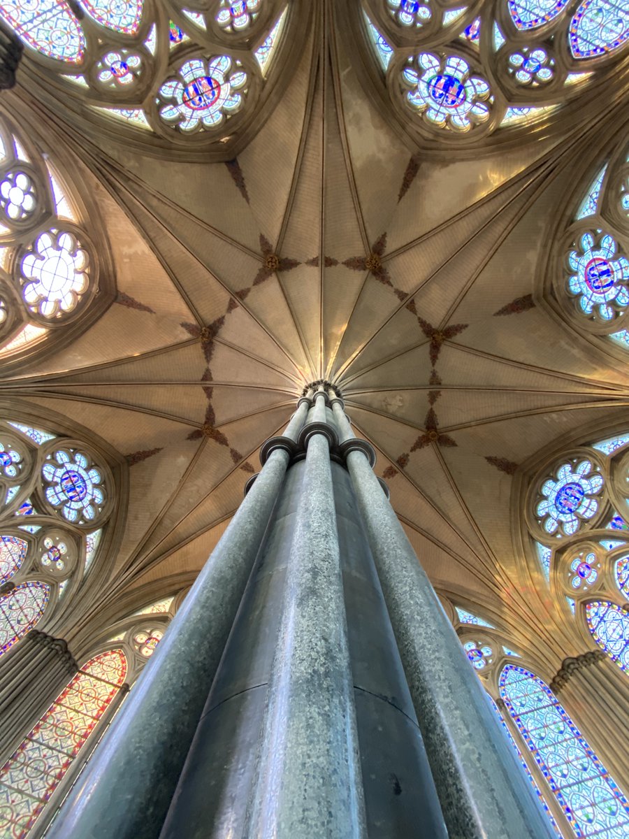 Always takes the breath away - the jaw dropping plasticity of Salisbury Cathedral's medieval chapter house