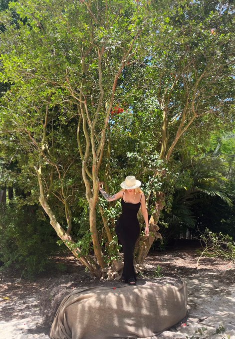 Got a new tree delivery today!  It&rsquo;s a huge guava 🧚&zwj;♀️☺️ https://t.co/xabicVPhqr