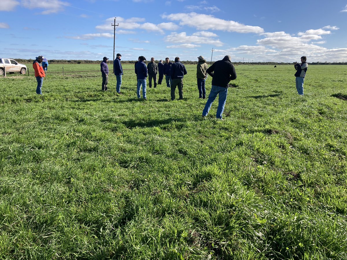 JoseATerra1's tweet photo. Fructífera reunión de análisis y discusión sobre sinergias y desafíos productivos y tecnológicos en sistemas arroz-ganadería para próximas zafras entre colegas Dpt técnico Coopar e investigadores de @INIA_UY. Visita situaciones establecimiento La Vuelta Grande de Bachino Hnos. https://t.co/GrbK2ge6Rf