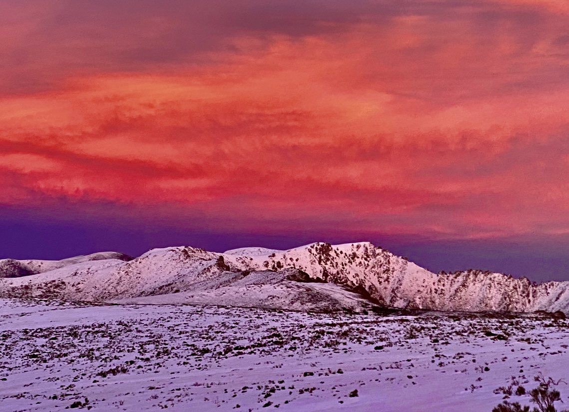 Ayer en la guardia varios niños de campamentos de verano en Gredos.Junto al paracetamol les receto de mi talonario de sueños que cada noche retengan en sus miradas y en sus pequeños corazoncitos las estrellas sobre las serenas cumbres de Gredos. De mayores sus almas las añorarán.