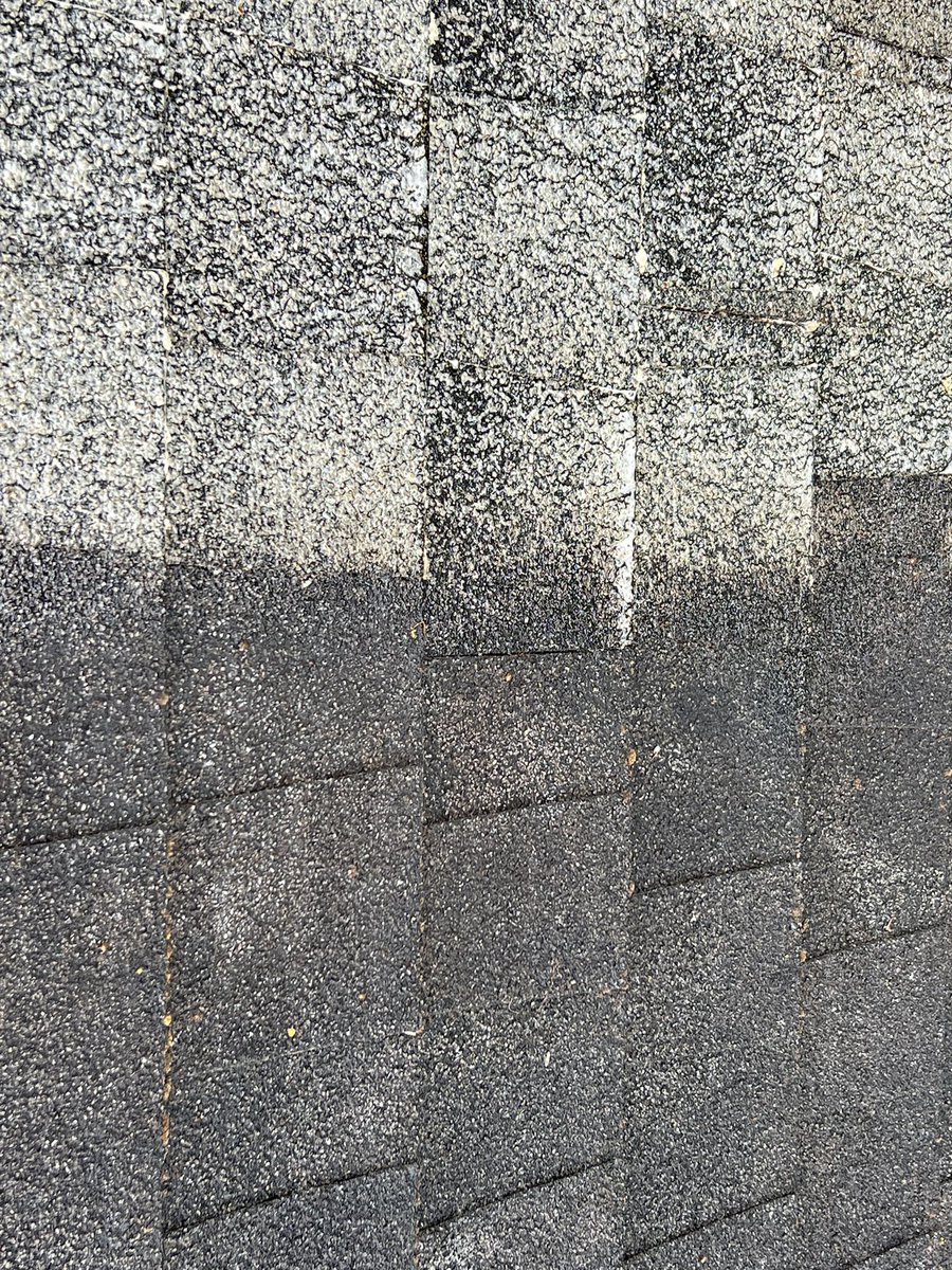 The difference between a clean and dirty shingle roof is night and day! Call us to clean your property next! (423)620-0479

#johnsoncitytn #greenevilletn #jonesboroughtn #morristowntn #pressurewashing #powerwashing #housecleaning #housewashing #guttercleaning #exteriorcleaning