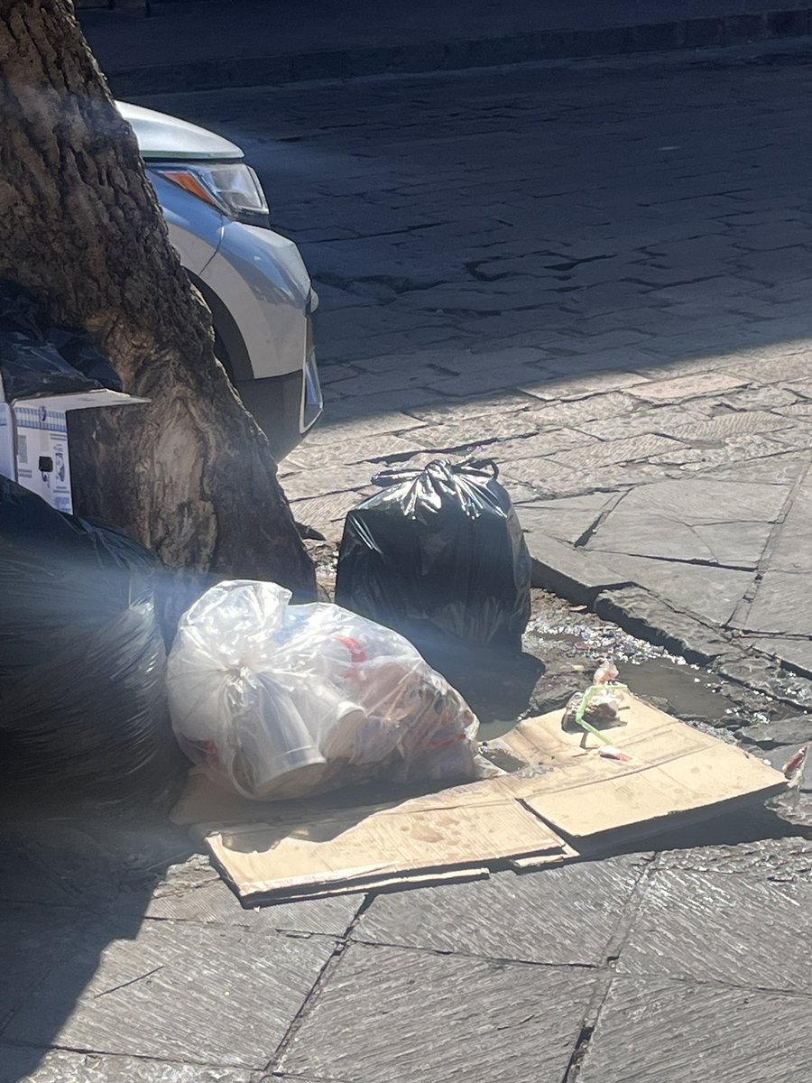 BaulDel's tweet photo. Sería buena opción cambiar la recolección de #Basura a otro lado en esta área llegan turistas y están dañando el árbol y lo peor es la mala imagen que se está generando. @qromunicipio @spublicosqro @SuloMexico https://t.co/v6TPn3Uka5