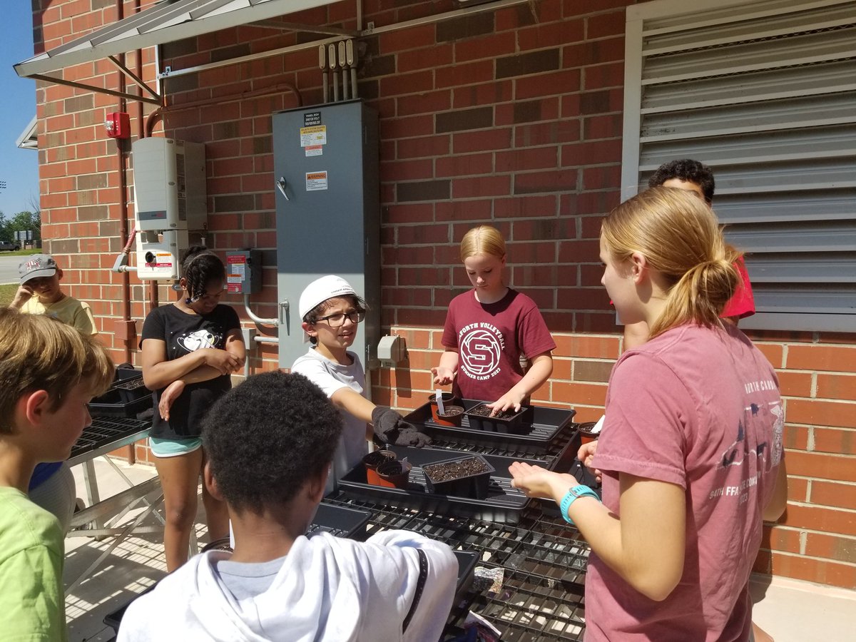 seaforth_ffa's tweet image. Sowing flower and vegetable seeds. #weareseaforth #OneChatham #weareseaforthffa
