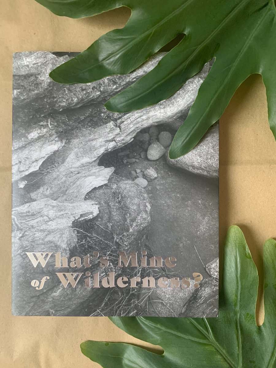 vinegar_feet's tweet photo. WHAT’S MINE OF WILDERNESS? edited by @andchadb is now in print! it’s a gorgeous book building off of the online issue of the same name published through @burrowpress last spring 2022 🏞️🌿

you’ll find my eco-poem “kanji lesson” here with good company. https://t.co/ek2llZLXGH