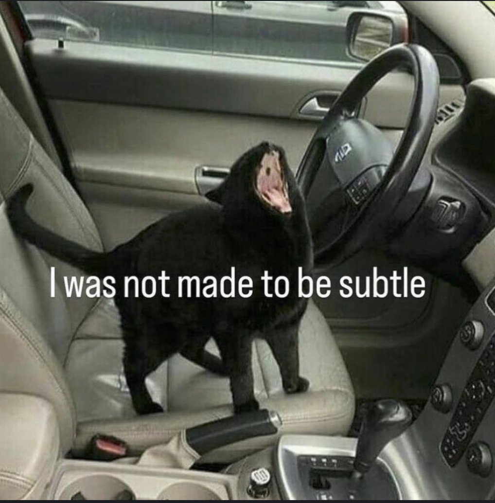 RespectfulMemes's tweet photo. https://t.co/GGLYrqABmT