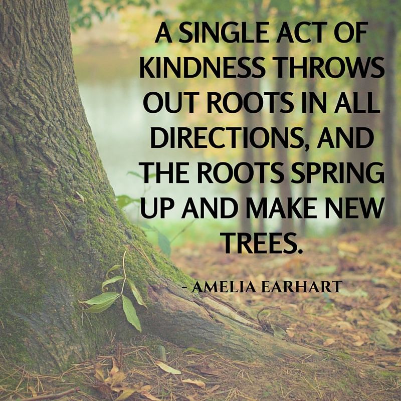 BryantCPA's tweet photo. A single act of kindness throws out roots in all directions, and the roots sprig up and make new trees. #TuesdayMotivation #TuesdayThoughts #JoyTrain #IAM #IAmChoosingLove #Kindness #Roots #NewTree https://t.co/8jRtKuabmC