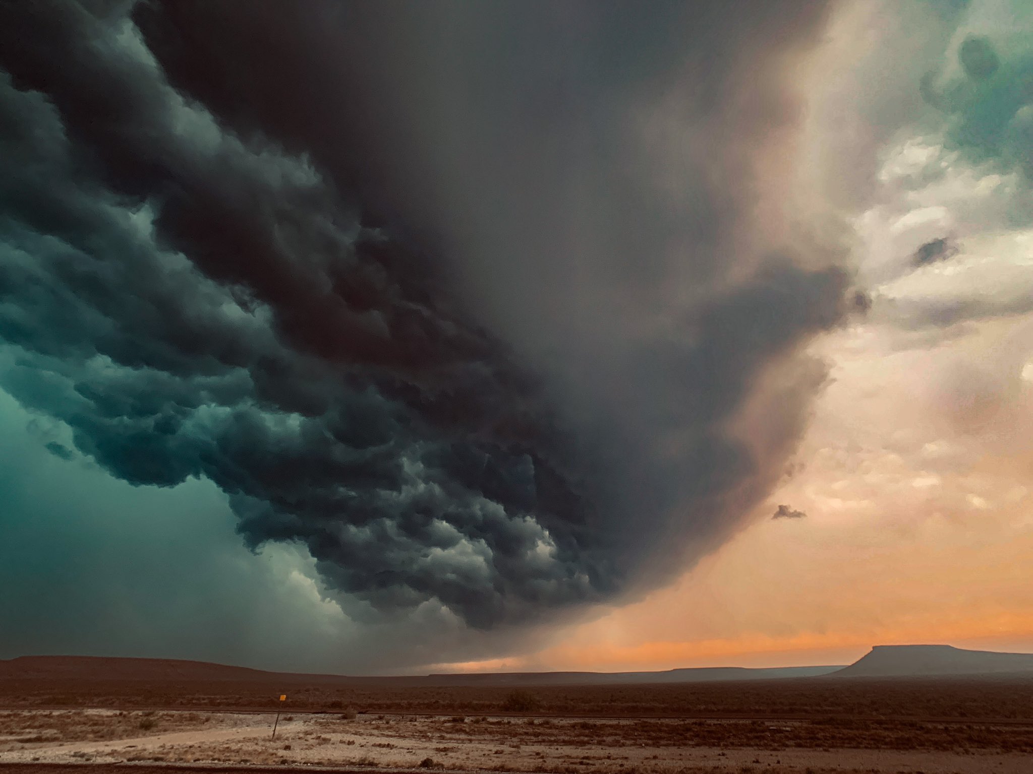 Marcie Gray on Twitter: 