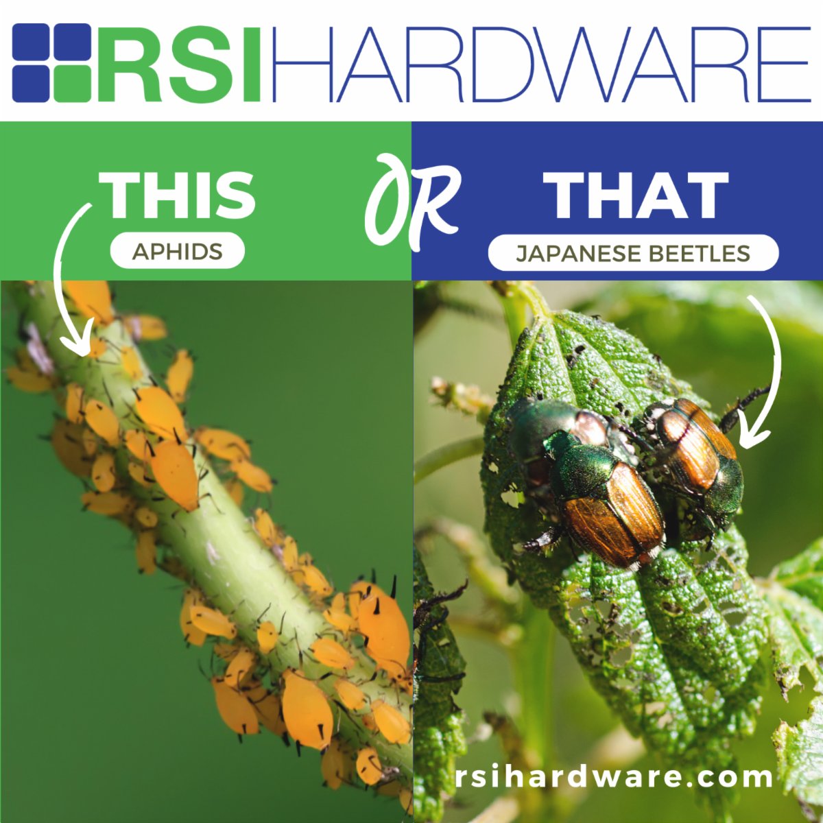 RsiHardware's tweet image. Most annoying garden pest?! THIS OR THAT

Choose to use natural pesticides from RSI Hardware
🍃 Better long-term results
🍃 Less damaging to your lawn and garden
🍃 Keeps helpful bugs from harm
🍃 Safe to use near pets and humans