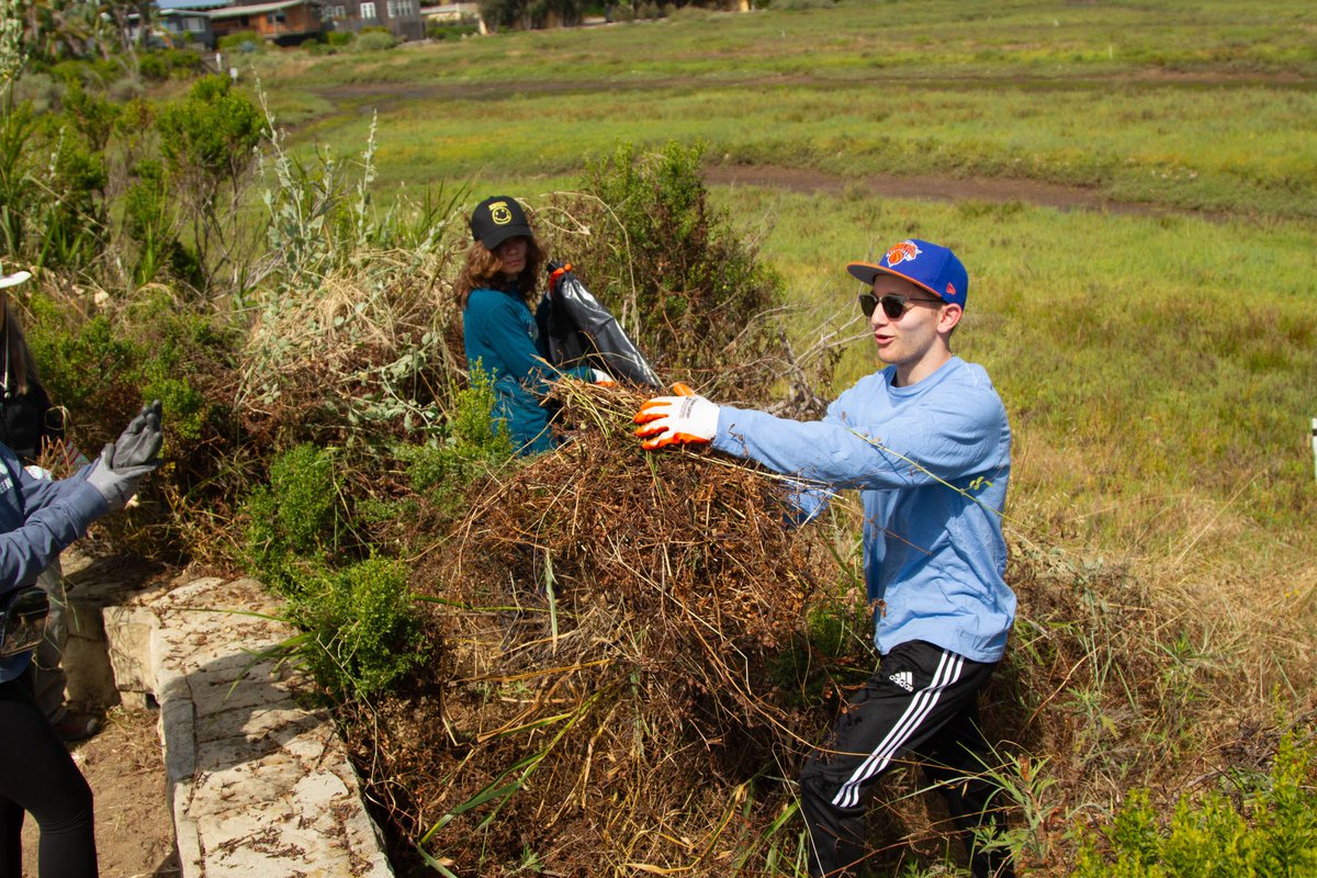 Channel Islands Restoration tweet media